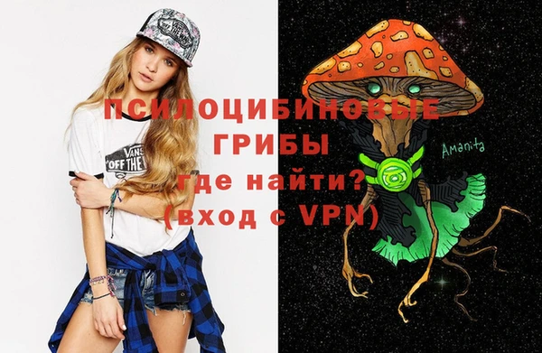 тгк Белокуриха